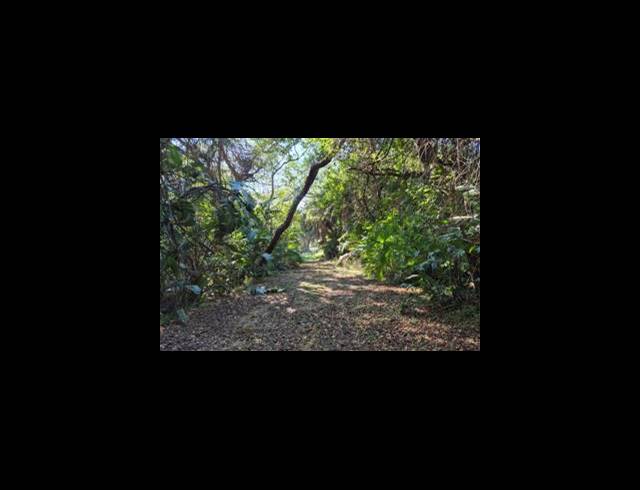 LAND FOR SALE IN LEISURE BAY